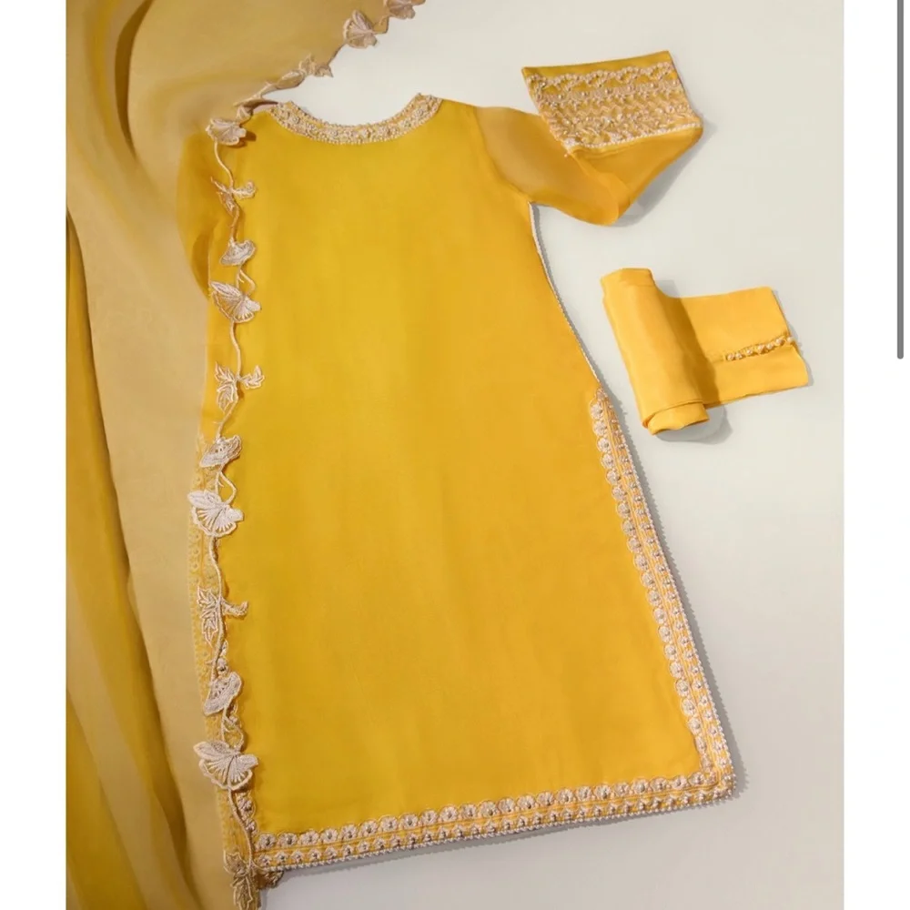 Agha Noor Pure Organza 3 piece Kameez/pant dupatta/stole -Pakistani designer - Picture 5 of 6